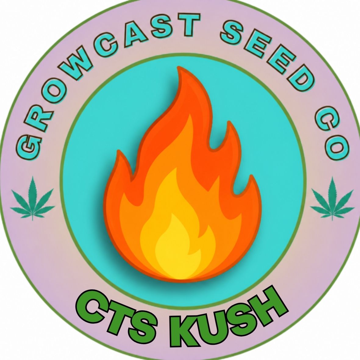 CTS Kush - 6pk Fems