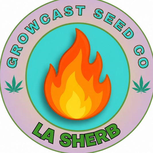 LA Sherb - 6pk Fems