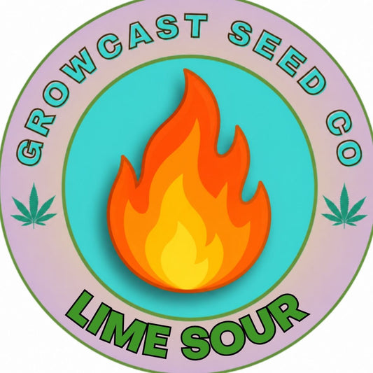 Lime Sour - 6pk Fems