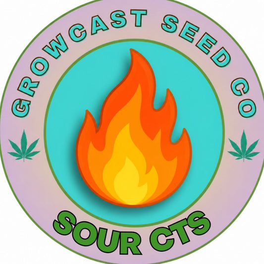 Sour CTS - 6pk Fems