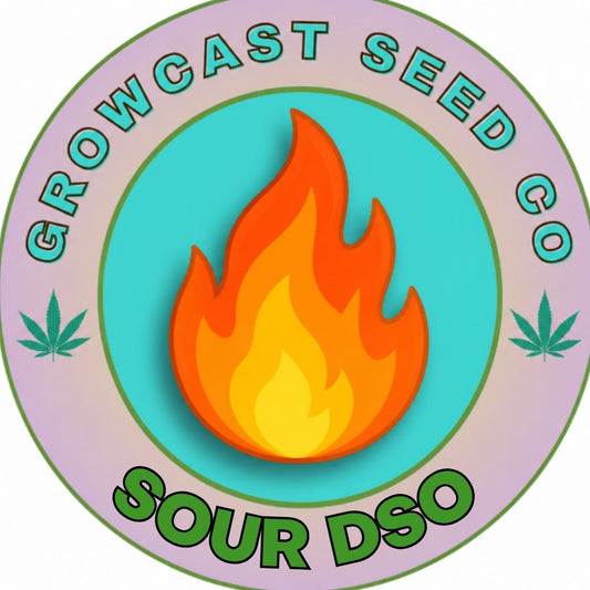Sour Double Stuffed - 6pk Fems