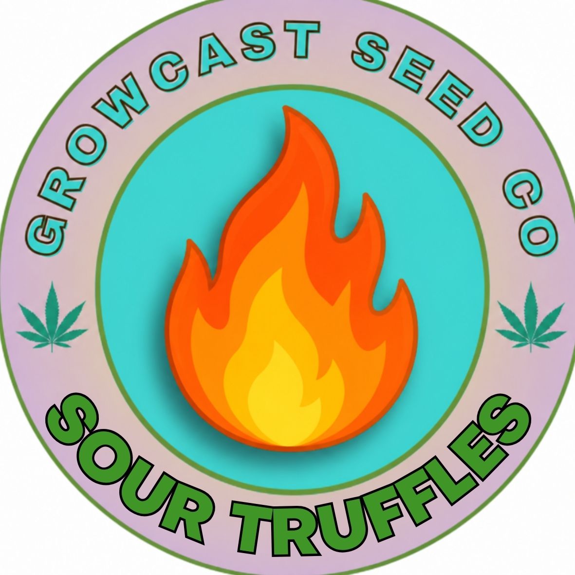 Sour Truffles - 6pk Fems