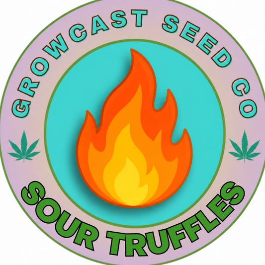 Sour Truffles - 6pk Fems